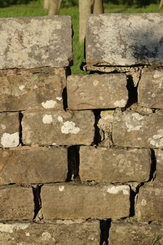 Stone Wall Repair in Anna, TX
